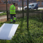 Rentokil detecta un aumento de garrapatas este verano: el calor dispara su presencia en parques, jardines y hogares