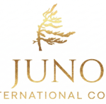Juno International Corporation adquiere acciones de Rocky Shore Gold Ltd.