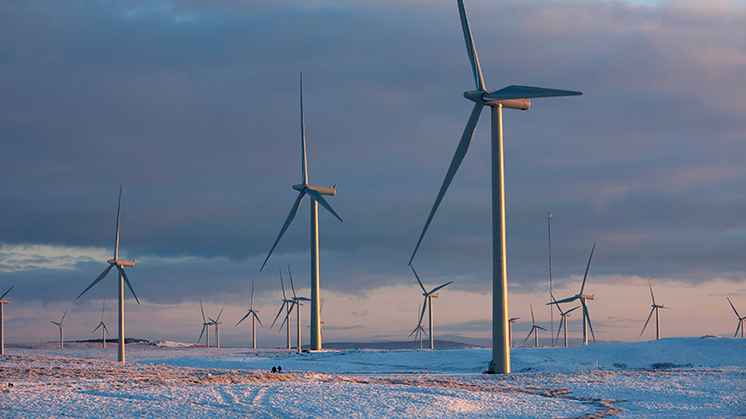 Iberdrola planea repotenciar Whitelee para duplicar capacidad eólica con una inversión de 1.800 millones de euros