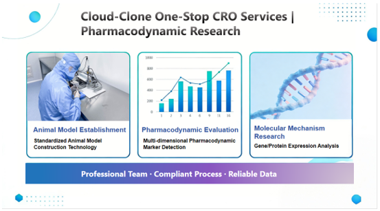 Cloud-Clone refuerza sus servicios CRO para impulsar el desarrollo preclínico de terapias frente a enfermedades cerebrales