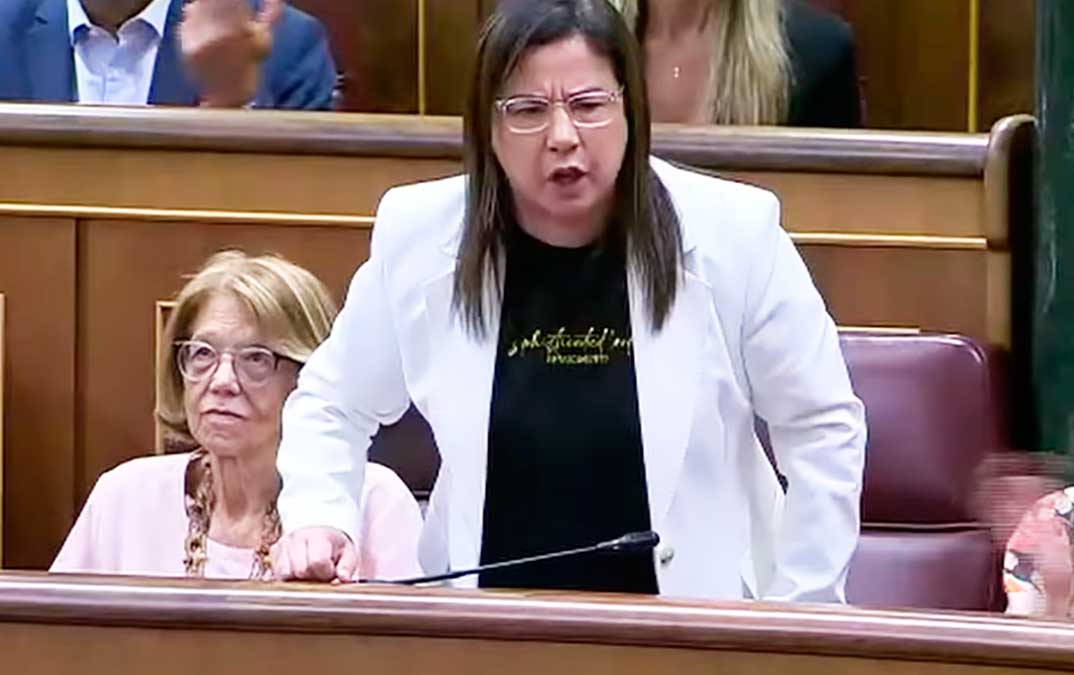 Armengol acusa a Ana Vázquez de llevar un arma al Congreso Armengol acusa a Ana Vázquez de llevar un arma al Congreso