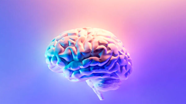 Ni cerebro rosa ni azul: qué dice la neurociencia sobre el género