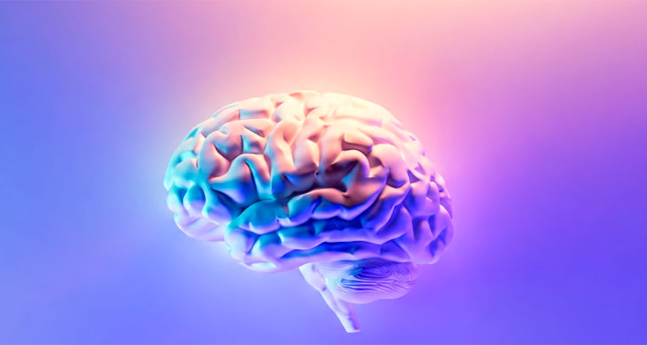 Ni cerebro rosa ni azul: qué dice la neurociencia sobre el género
