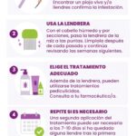 El Colegio de Farmacéuticos de Gipuzkoa recuerda cómo actuar ante la aparición de piojos en la vuelta al cole